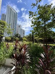 Blk 421B Northshore Straitsview (Punggol), HDB 2 Rooms #537608771